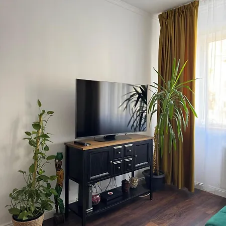 Nest Jade * Kluž